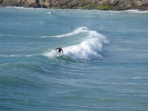 Photo 5