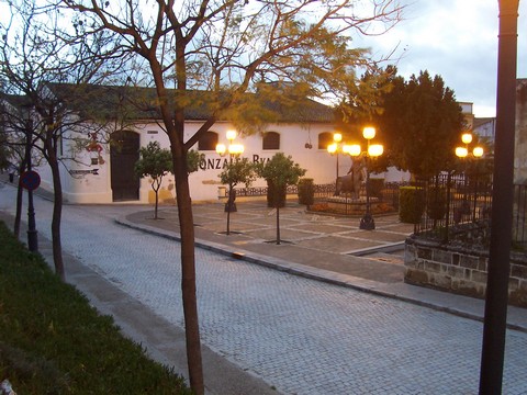 Photo 26