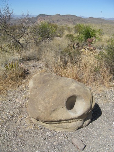 Photo 23