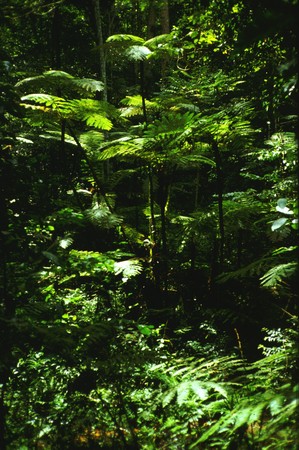 Photo 27