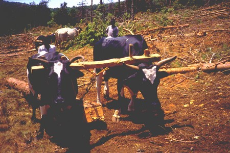 Photo 30