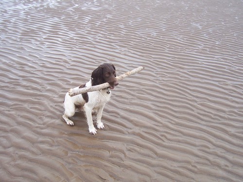 Photo 26